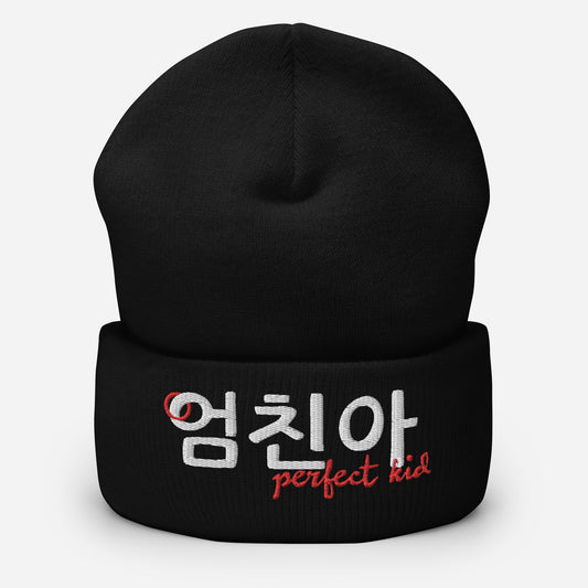 Cute, cuffed black beanie with the Hangul expression to describe a perfect child (male) embroidered on the front